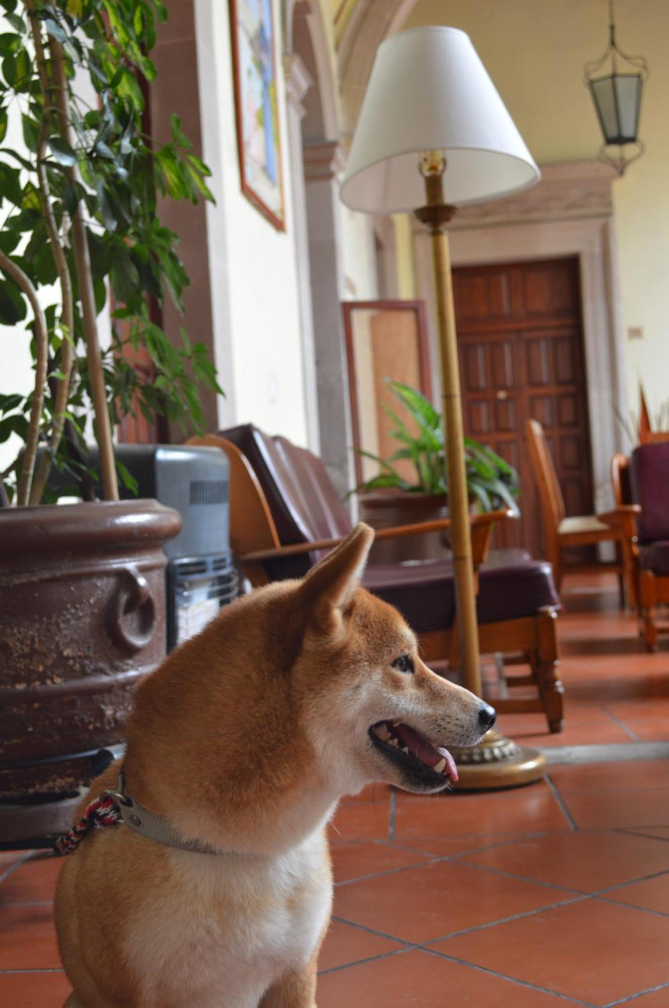 Hotel Posada San Agustin Дуранґ Екстер'єр фото